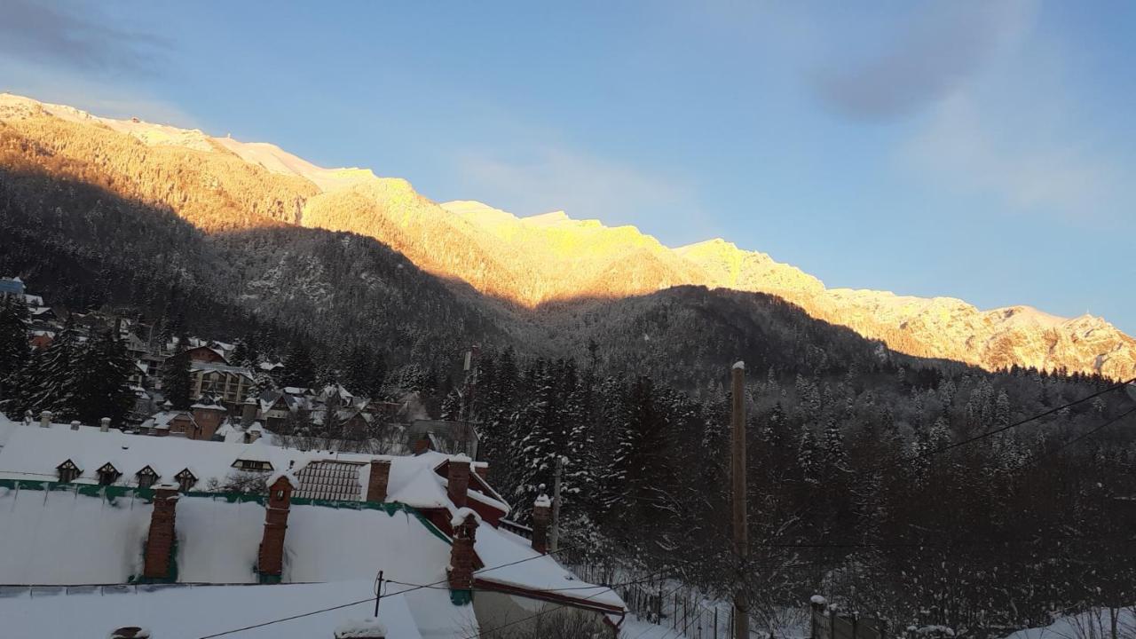 Pensiunea Floare De Colt Sinaia Exterior foto